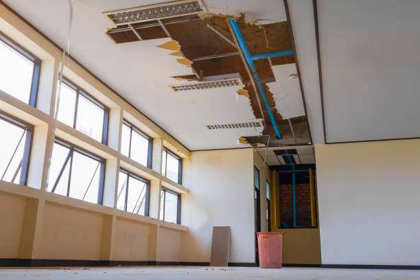 Best Fire Damage Restoration  in Vonore, TN