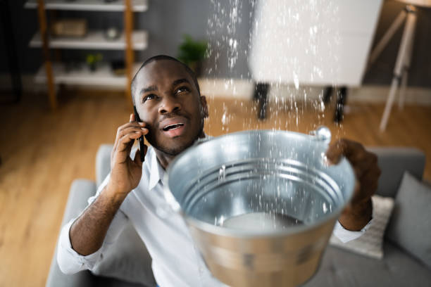 Best Water damage restoration near me  in Vonore, TN
