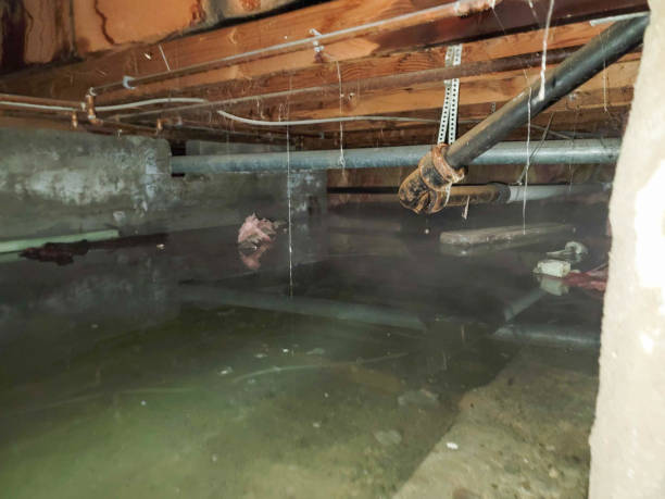 Best Commercial water damage restoration  in Vonore, TN