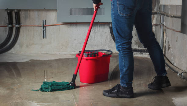 Best Flood damage cleanup  in Vonore, TN
