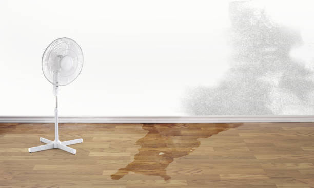 Best Water damage restoration insurance claims  in Vonore, TN