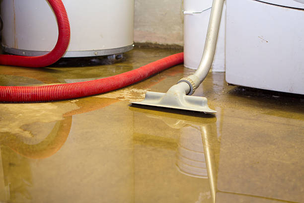 Best Flood restoration services  in Vonore, TN