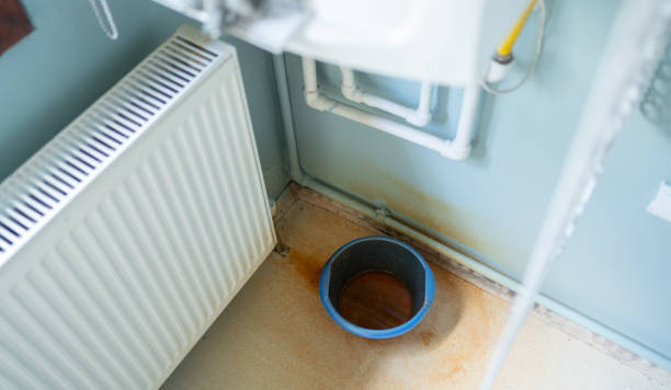 Best Carpet water damage restoration  in Vonore, TN
