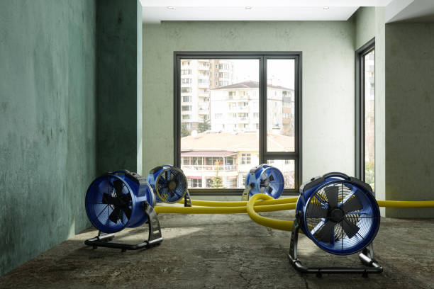 Best Water damage repair service  in Vonore, TN